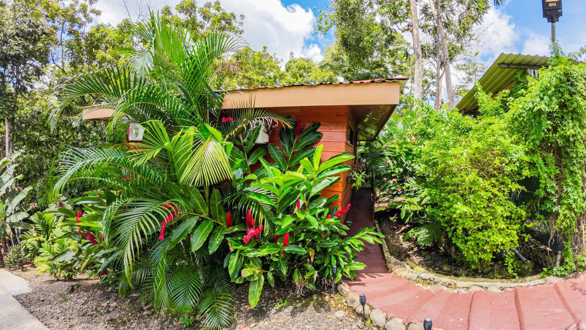 Bungalows Las Iguanas Arenal Volcano La Fortuna Exterior foto